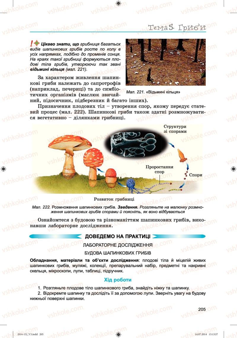 Страница 205 | Підручник Біологія 6 клас Л.І. Остапченко, П.Г. Балан, Н.Ю. Матяш 2014