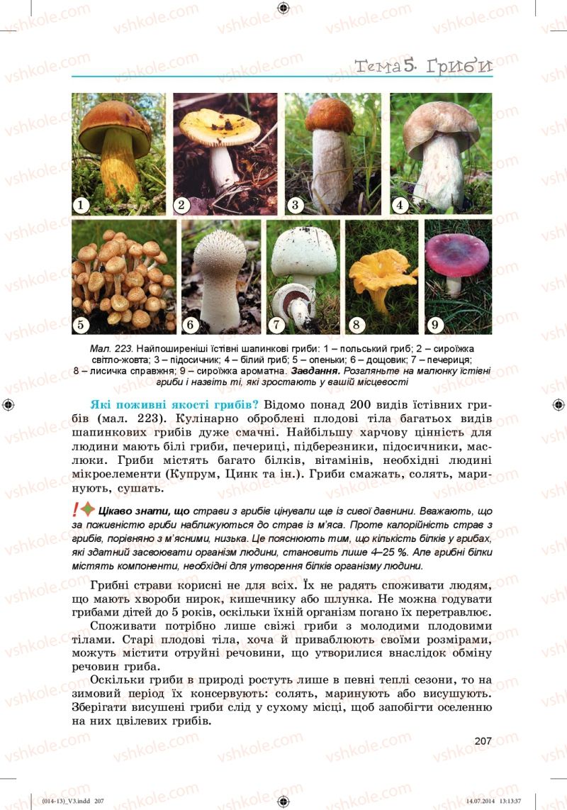 Страница 207 | Підручник Біологія 6 клас Л.І. Остапченко, П.Г. Балан, Н.Ю. Матяш 2014