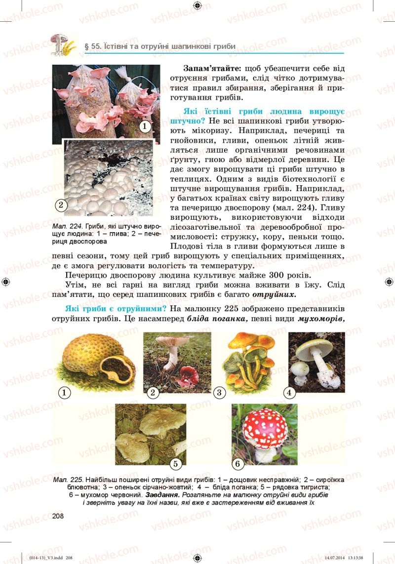 Страница 208 | Підручник Біологія 6 клас Л.І. Остапченко, П.Г. Балан, Н.Ю. Матяш 2014