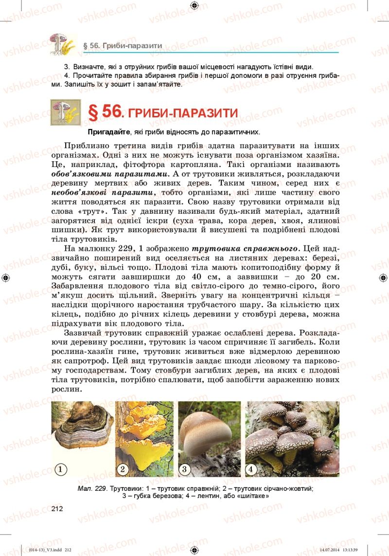 Страница 212 | Підручник Біологія 6 клас Л.І. Остапченко, П.Г. Балан, Н.Ю. Матяш 2014