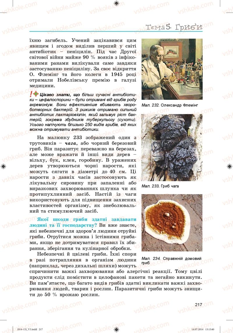 Страница 217 | Підручник Біологія 6 клас Л.І. Остапченко, П.Г. Балан, Н.Ю. Матяш 2014