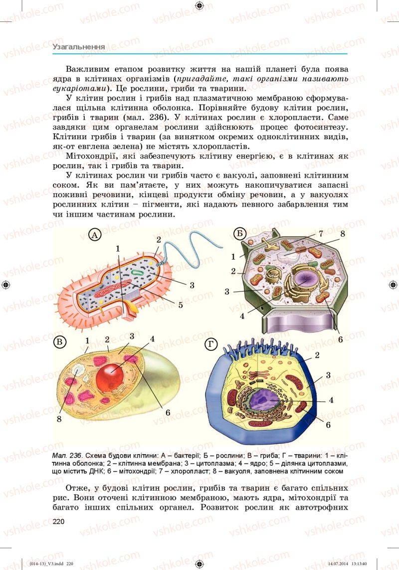 Страница 220 | Підручник Біологія 6 клас Л.І. Остапченко, П.Г. Балан, Н.Ю. Матяш 2014