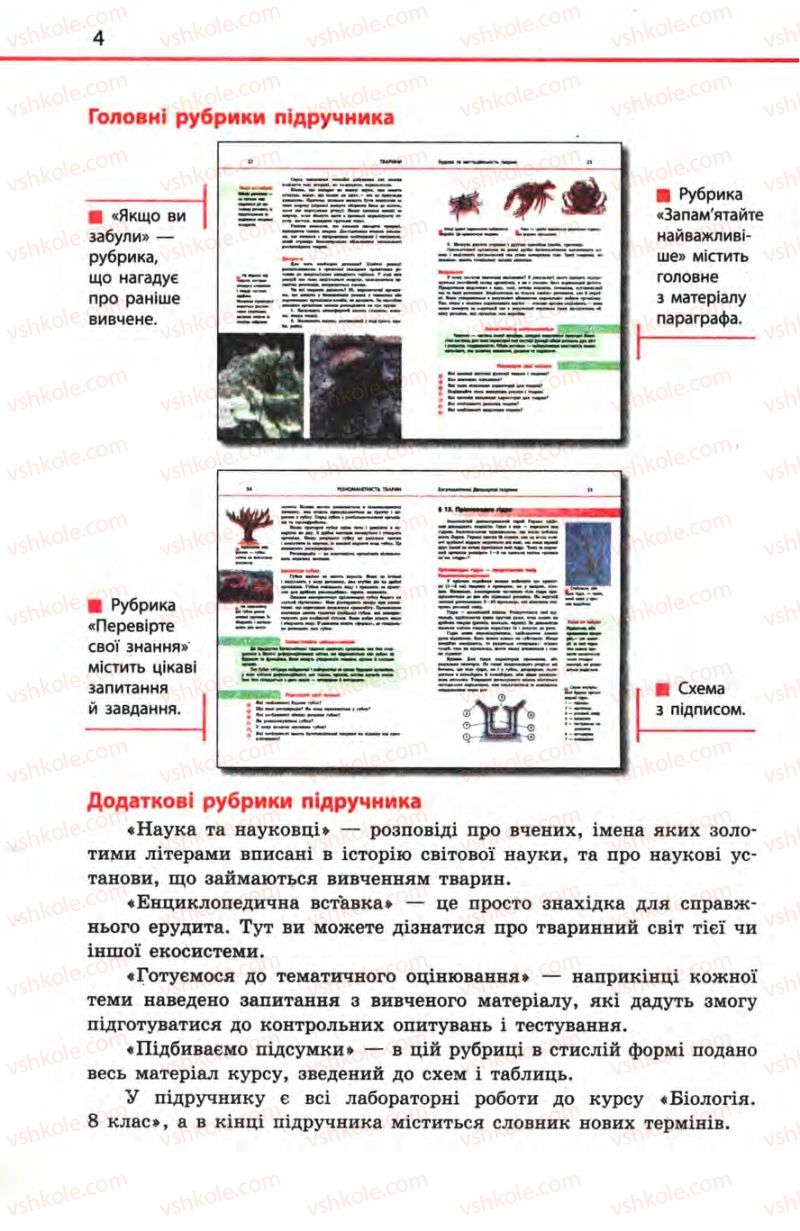 Страница 4 | Підручник Біологія 8 клас Н.В. Запорожець, С.В. Влащенко 2008