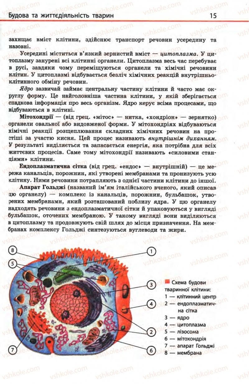 Страница 15 | Підручник Біологія 8 клас Н.В. Запорожець, С.В. Влащенко 2008