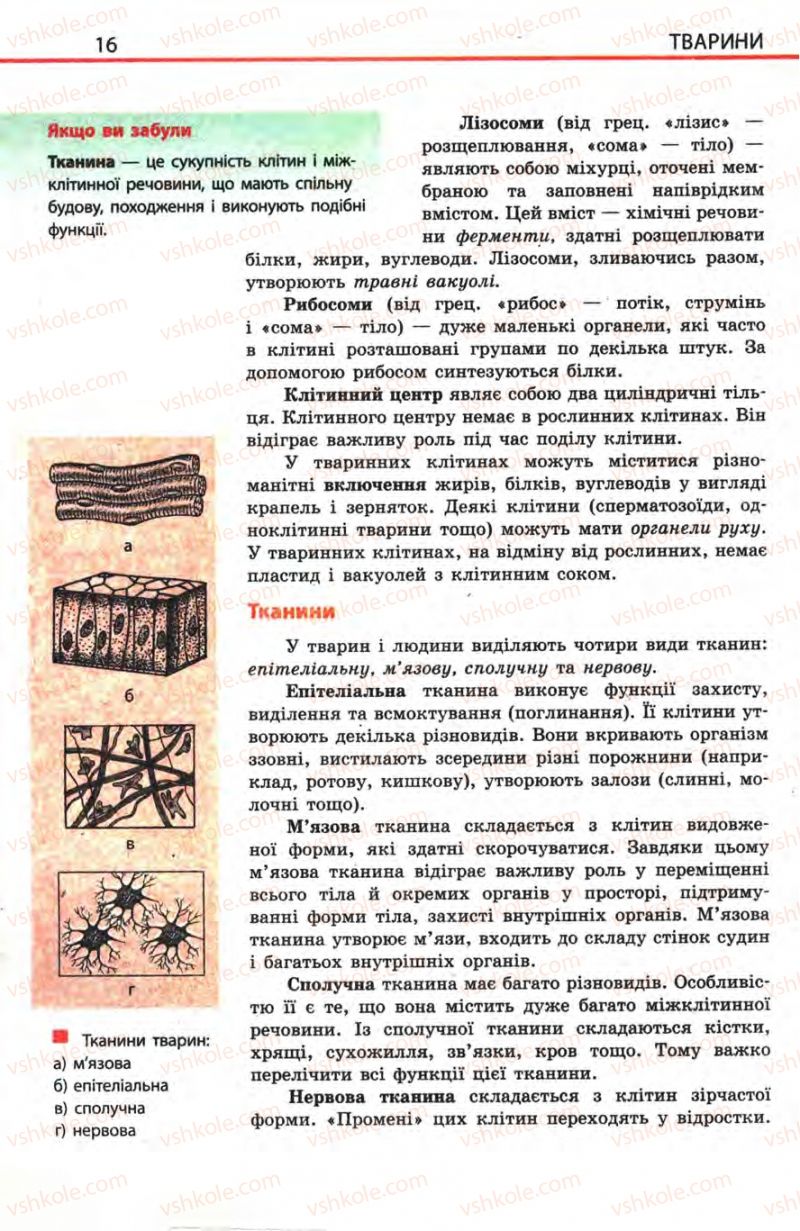 Страница 16 | Підручник Біологія 8 клас Н.В. Запорожець, С.В. Влащенко 2008