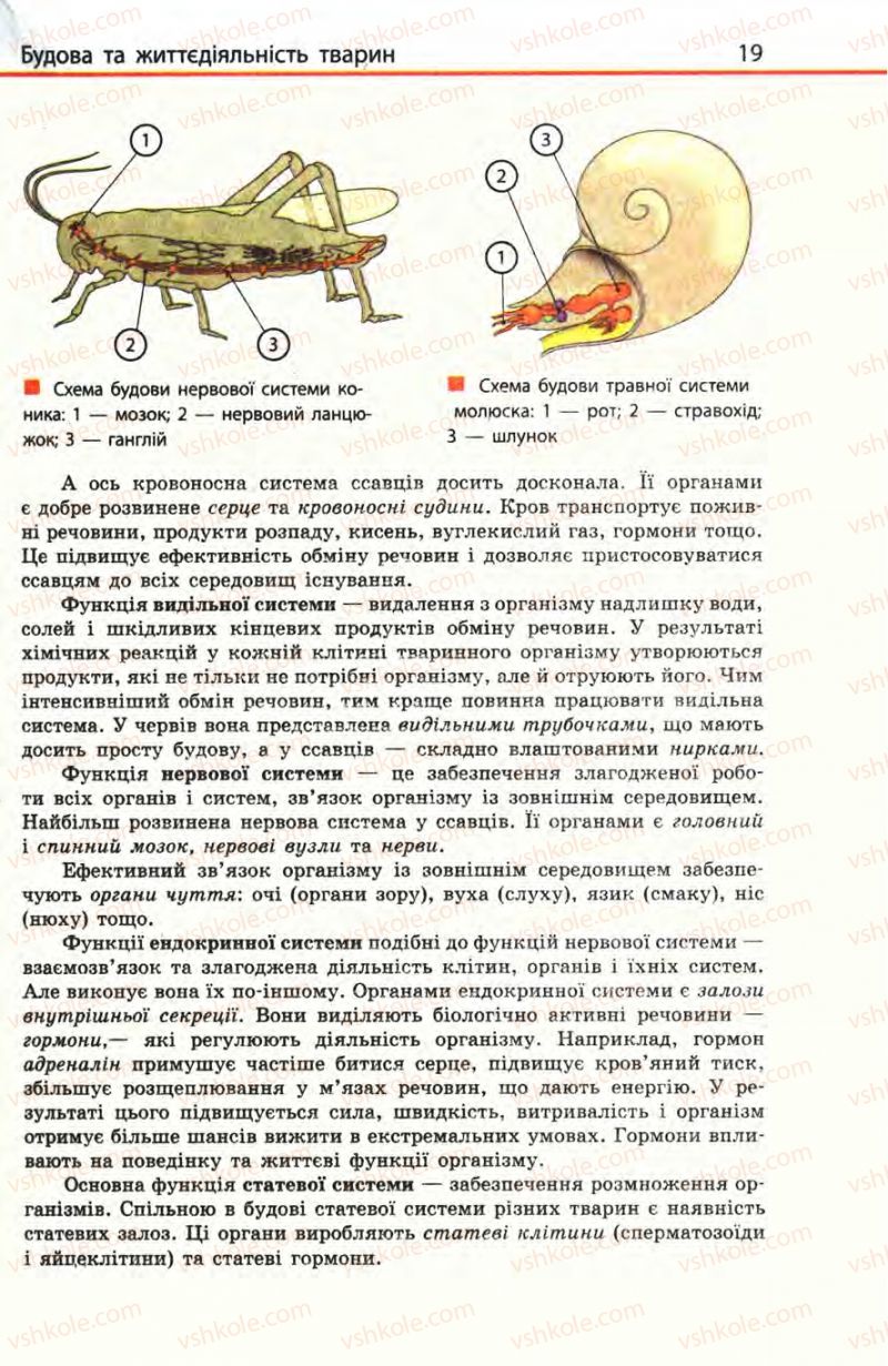 Страница 19 | Підручник Біологія 8 клас Н.В. Запорожець, С.В. Влащенко 2008