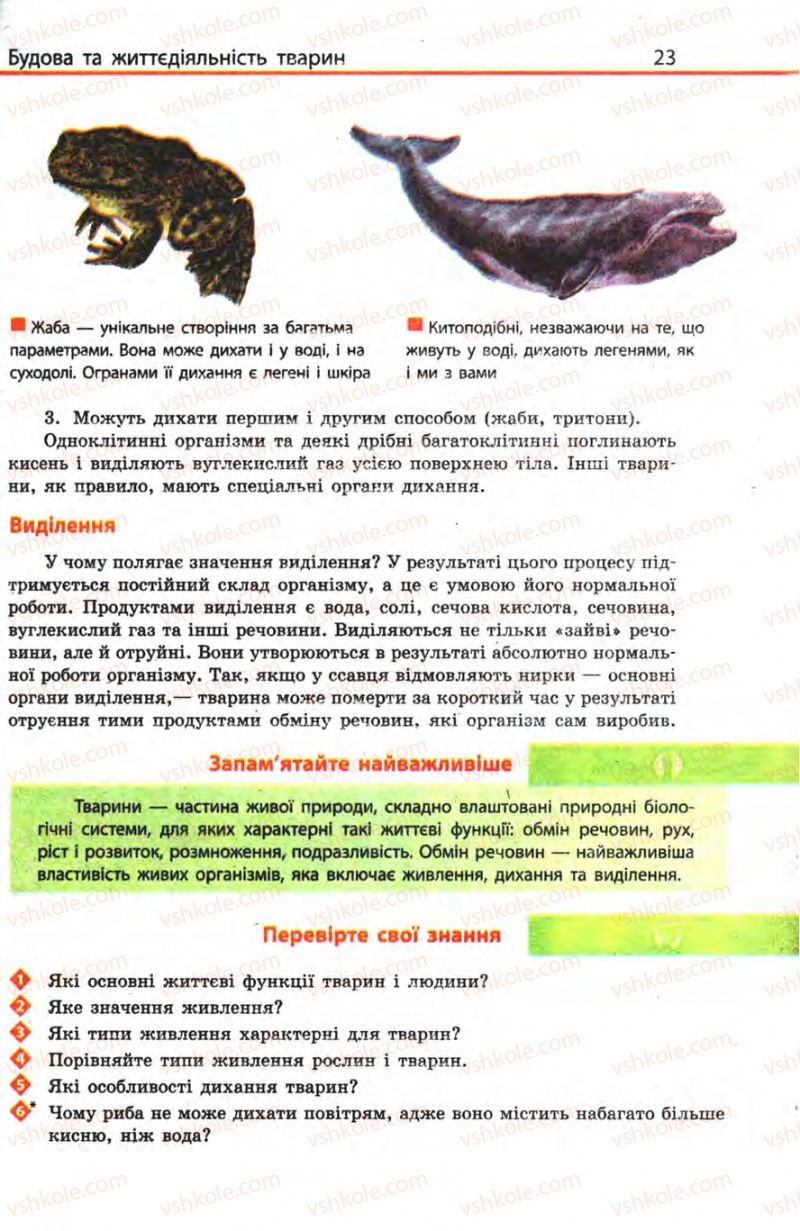 Страница 23 | Підручник Біологія 8 клас Н.В. Запорожець, С.В. Влащенко 2008
