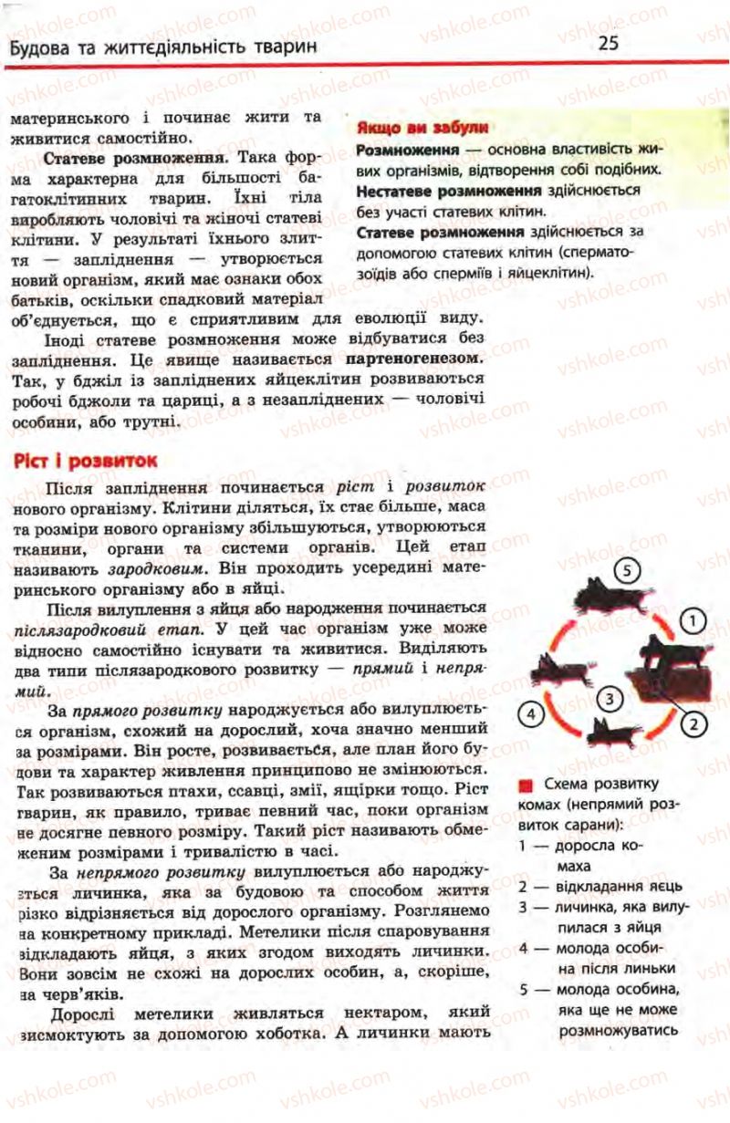 Страница 25 | Підручник Біологія 8 клас Н.В. Запорожець, С.В. Влащенко 2008