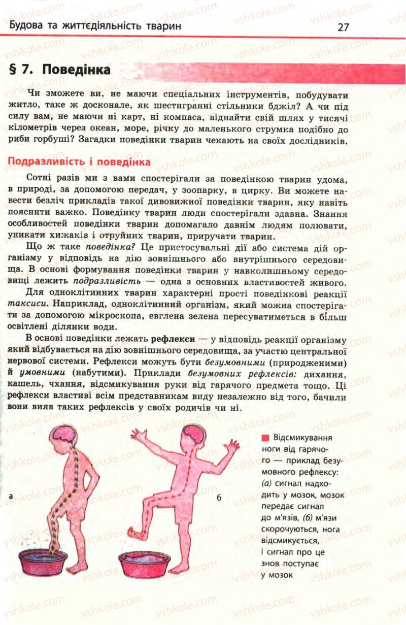 Страница 27 | Підручник Біологія 8 клас Н.В. Запорожець, С.В. Влащенко 2008