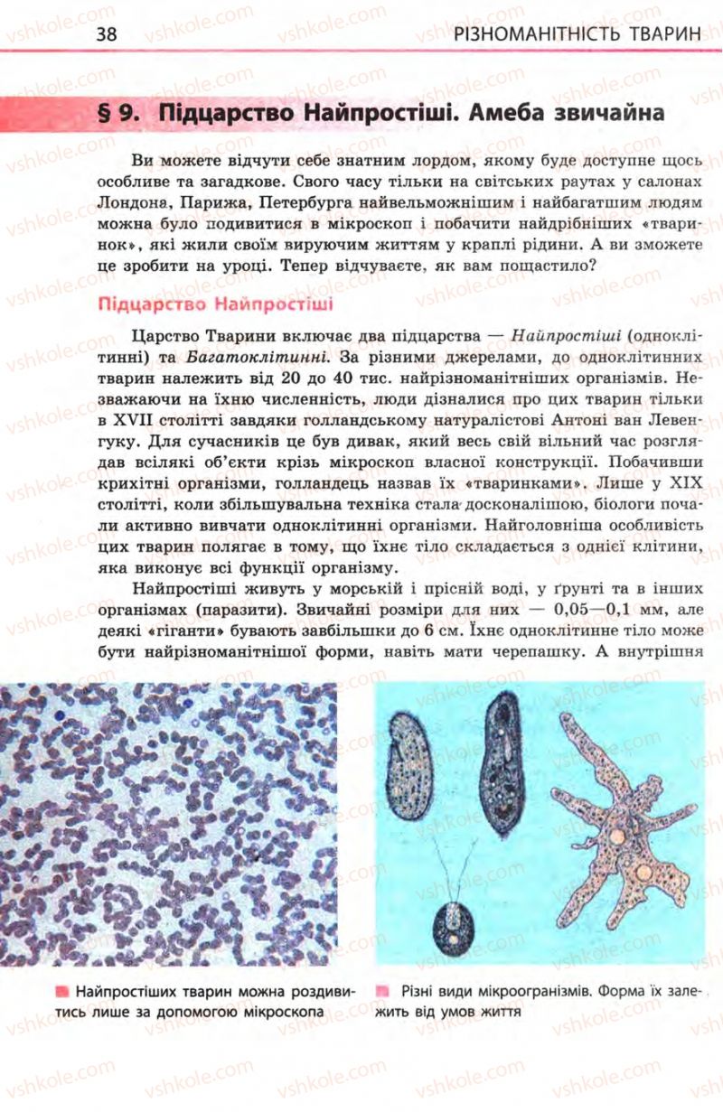 Страница 38 | Підручник Біологія 8 клас Н.В. Запорожець, С.В. Влащенко 2008