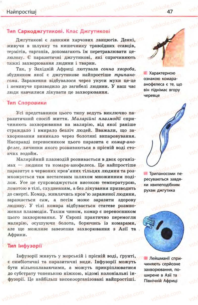 Страница 47 | Підручник Біологія 8 клас Н.В. Запорожець, С.В. Влащенко 2008