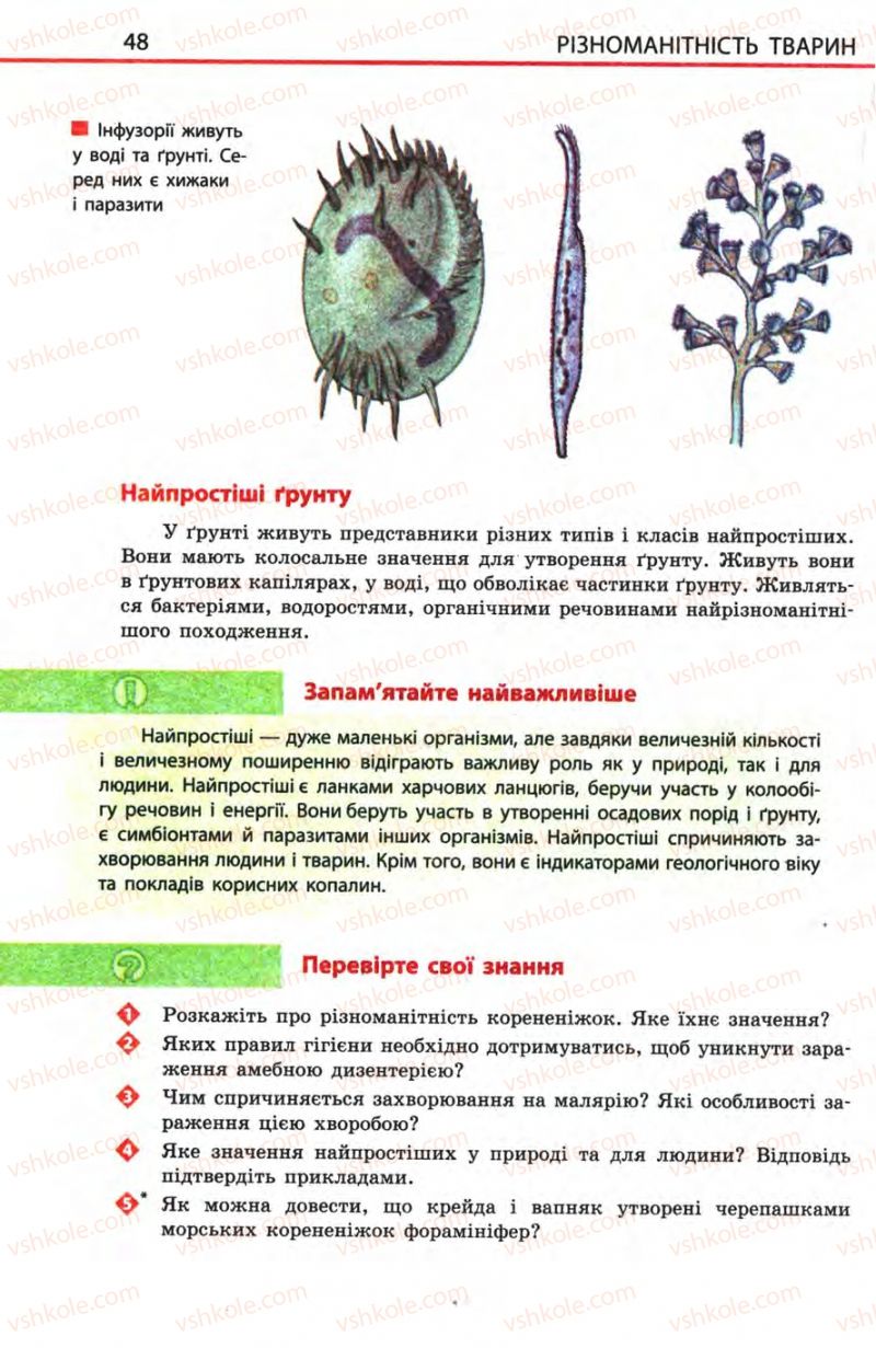 Страница 48 | Підручник Біологія 8 клас Н.В. Запорожець, С.В. Влащенко 2008