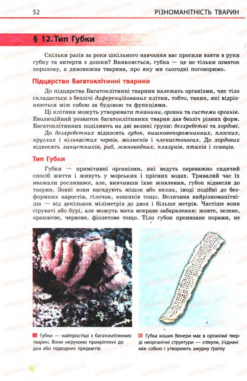 Страница 52 | Підручник Біологія 8 клас Н.В. Запорожець, С.В. Влащенко 2008