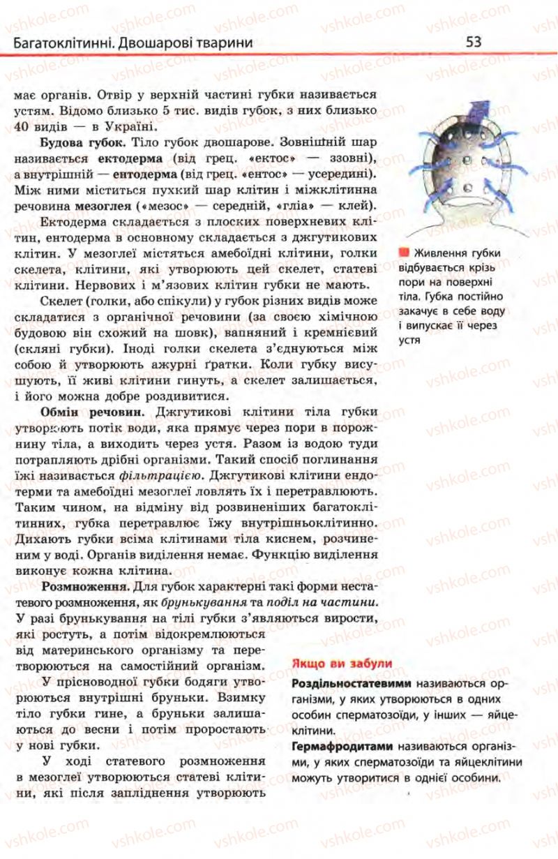 Страница 53 | Підручник Біологія 8 клас Н.В. Запорожець, С.В. Влащенко 2008