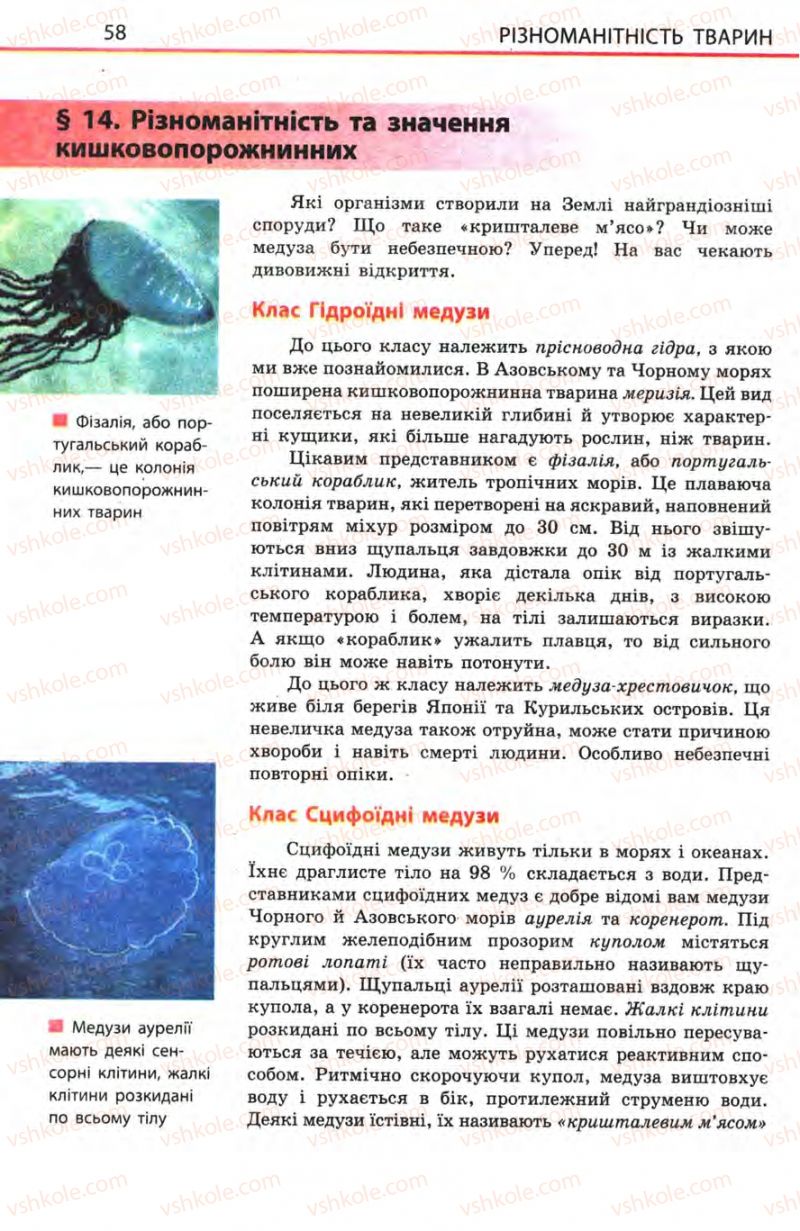 Страница 58 | Підручник Біологія 8 клас Н.В. Запорожець, С.В. Влащенко 2008