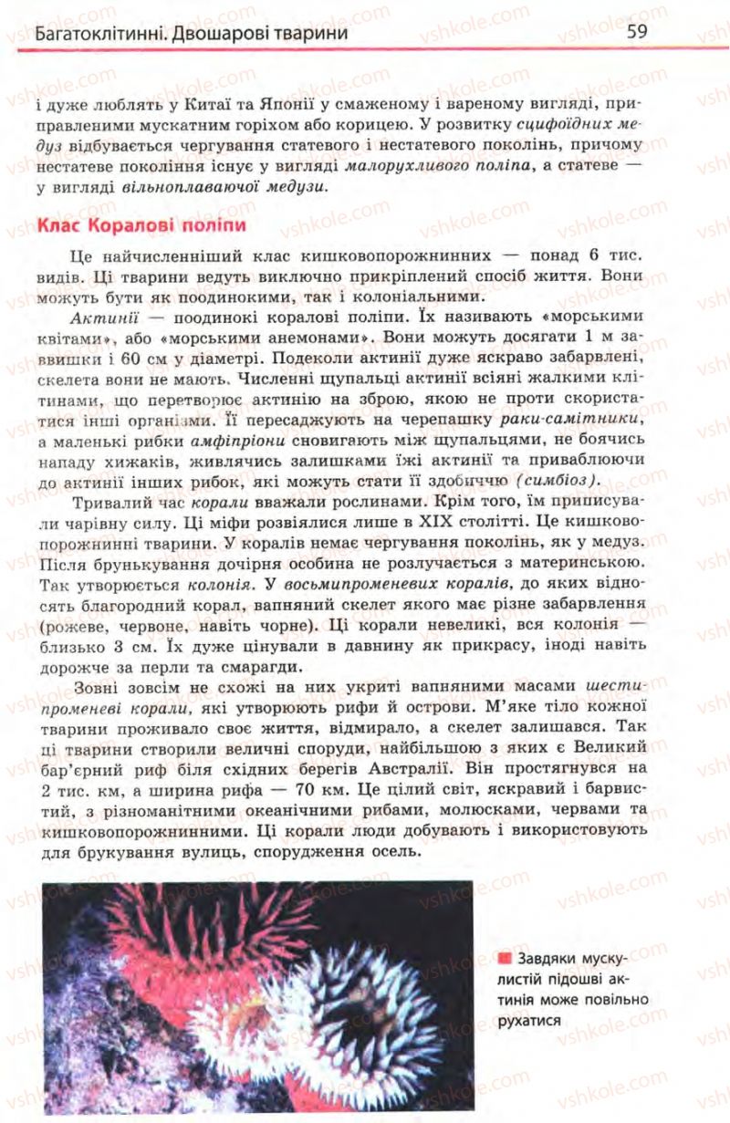 Страница 59 | Підручник Біологія 8 клас Н.В. Запорожець, С.В. Влащенко 2008