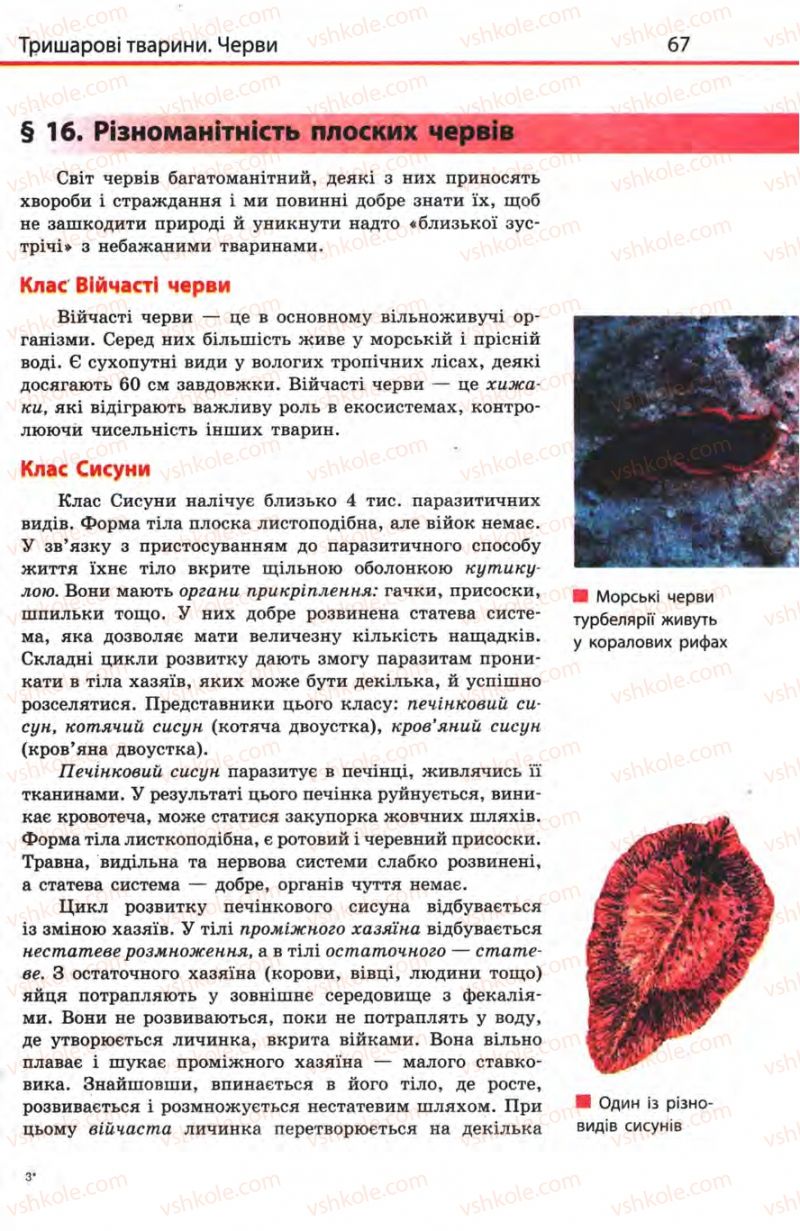 Страница 67 | Підручник Біологія 8 клас Н.В. Запорожець, С.В. Влащенко 2008
