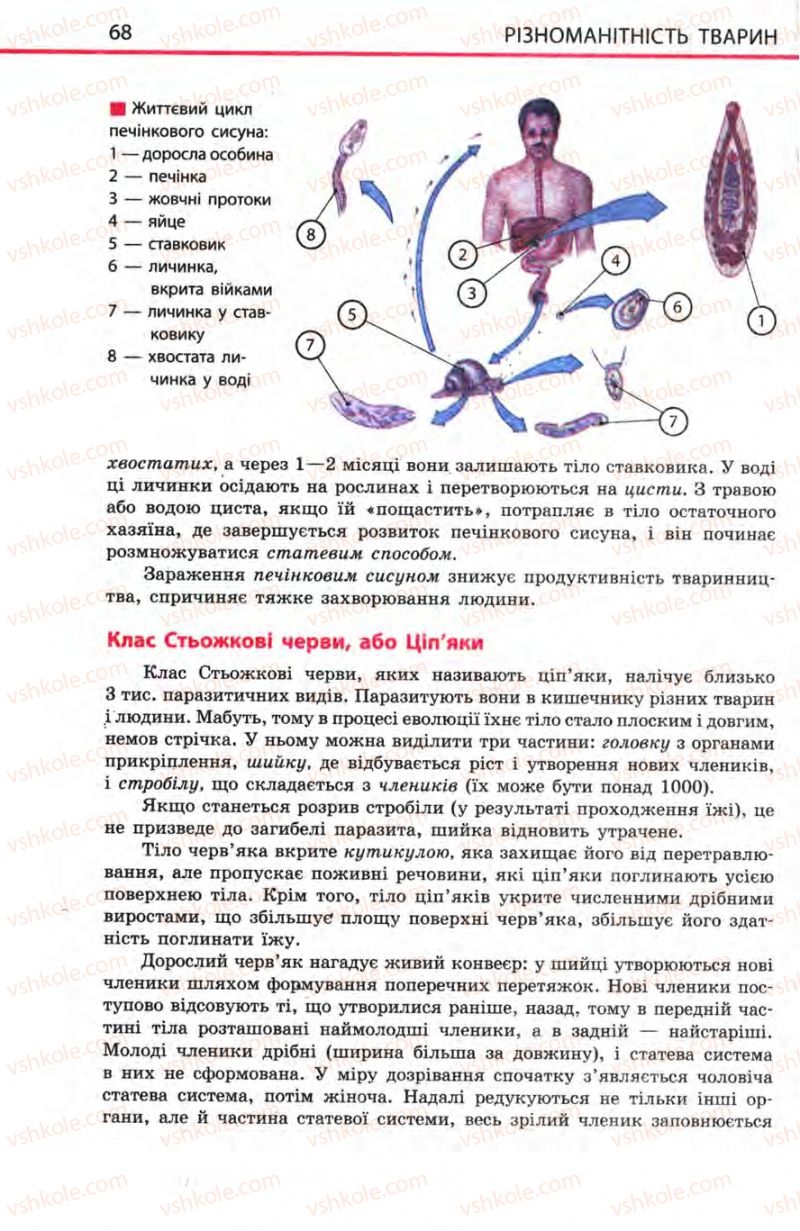Страница 68 | Підручник Біологія 8 клас Н.В. Запорожець, С.В. Влащенко 2008