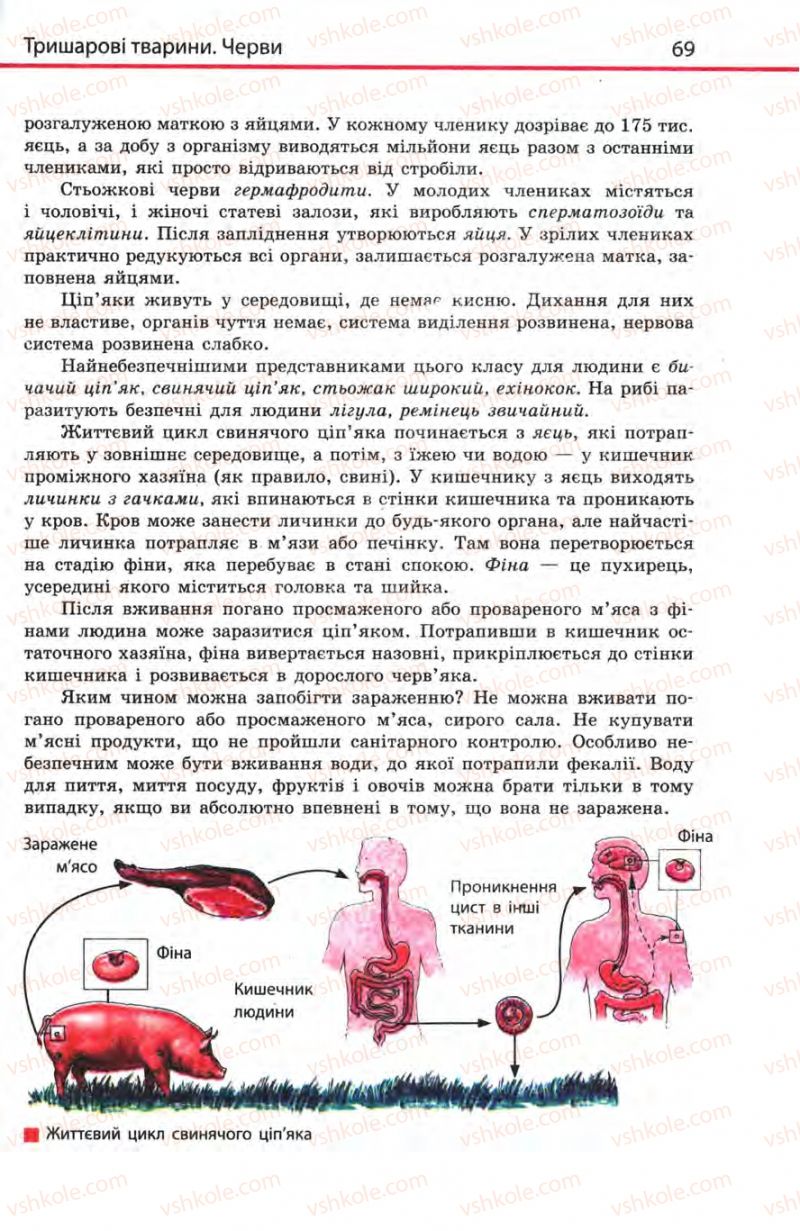 Страница 69 | Підручник Біологія 8 клас Н.В. Запорожець, С.В. Влащенко 2008