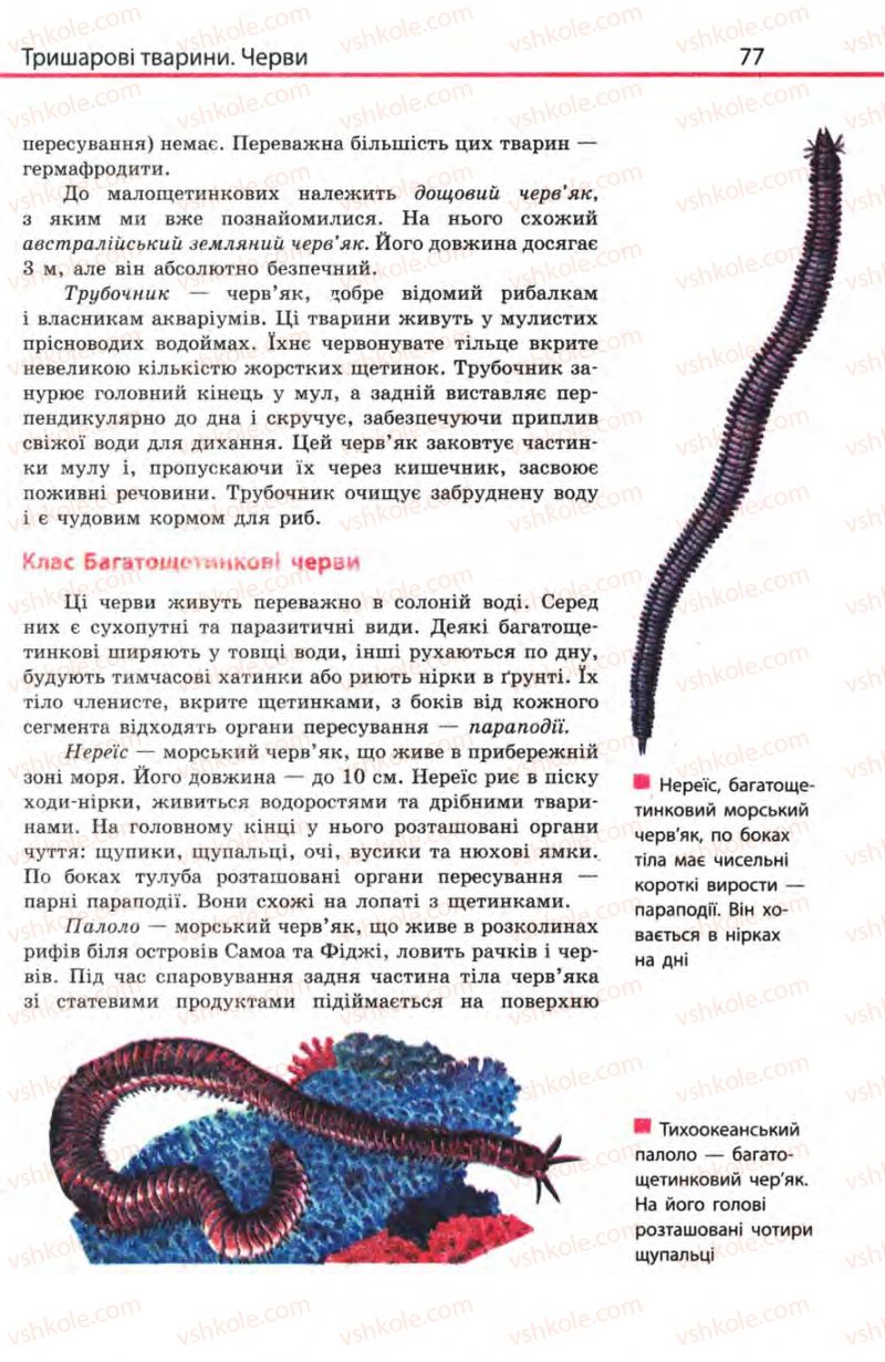 Страница 77 | Підручник Біологія 8 клас Н.В. Запорожець, С.В. Влащенко 2008