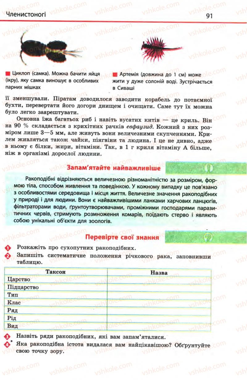 Страница 91 | Підручник Біологія 8 клас Н.В. Запорожець, С.В. Влащенко 2008