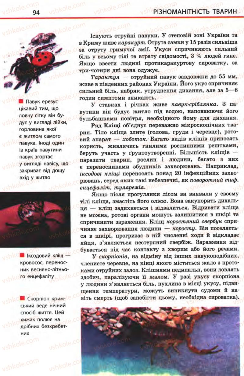 Страница 94 | Підручник Біологія 8 клас Н.В. Запорожець, С.В. Влащенко 2008