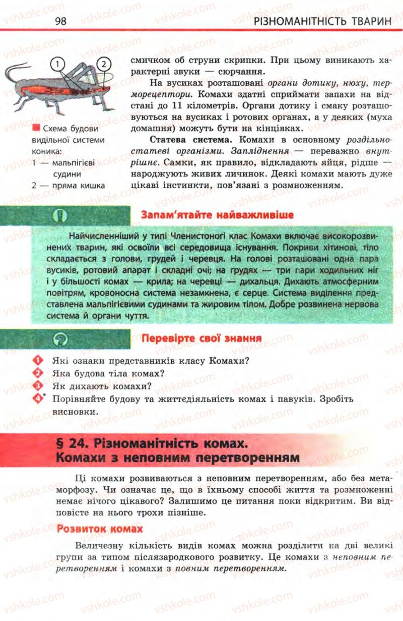 Страница 98 | Підручник Біологія 8 клас Н.В. Запорожець, С.В. Влащенко 2008
