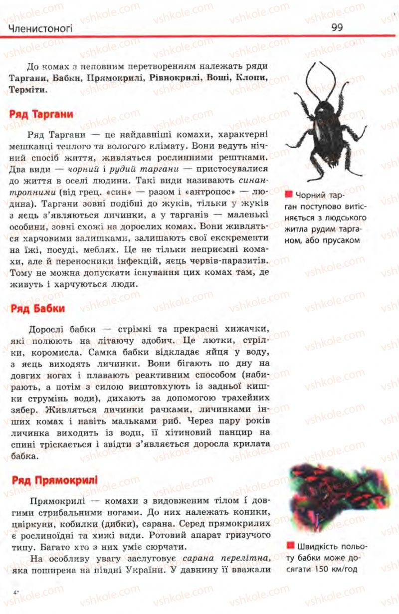Страница 99 | Підручник Біологія 8 клас Н.В. Запорожець, С.В. Влащенко 2008