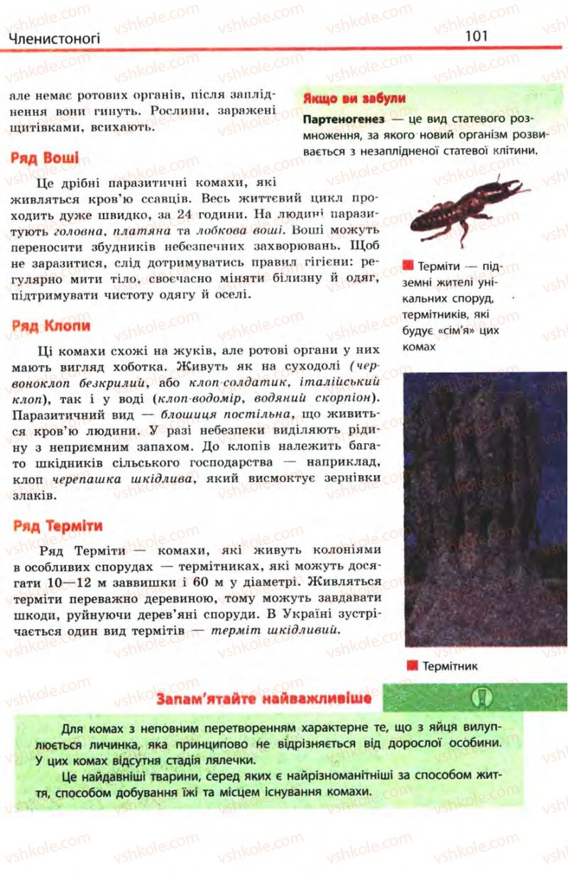 Страница 101 | Підручник Біологія 8 клас Н.В. Запорожець, С.В. Влащенко 2008