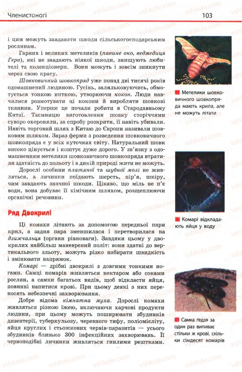 Страница 103 | Підручник Біологія 8 клас Н.В. Запорожець, С.В. Влащенко 2008