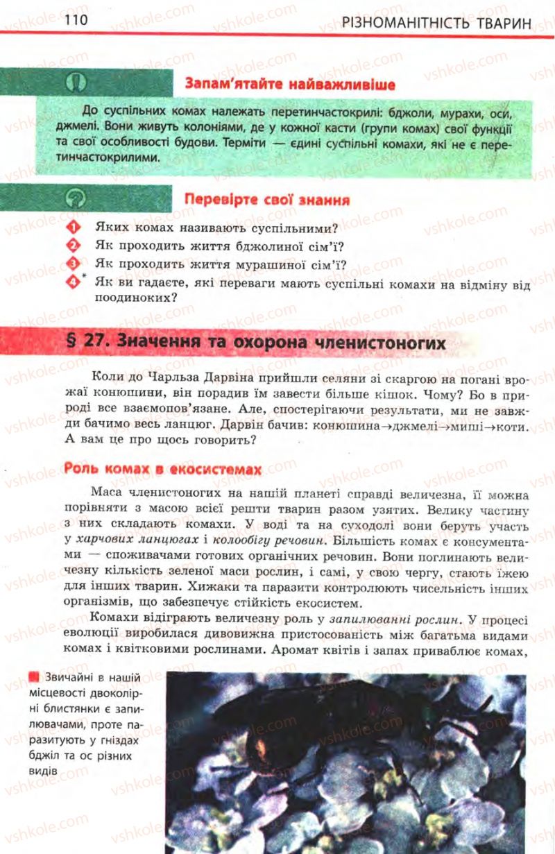 Страница 110 | Підручник Біологія 8 клас Н.В. Запорожець, С.В. Влащенко 2008