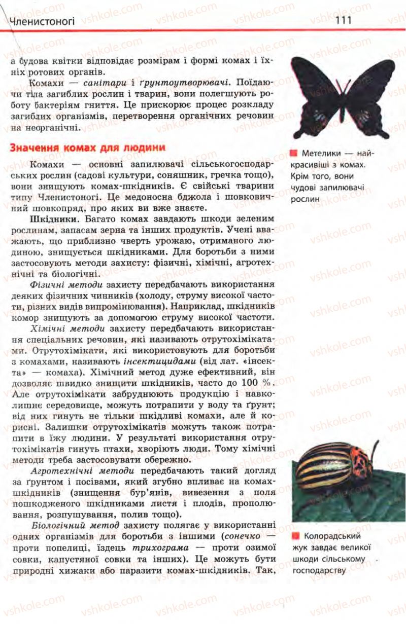 Страница 111 | Підручник Біологія 8 клас Н.В. Запорожець, С.В. Влащенко 2008