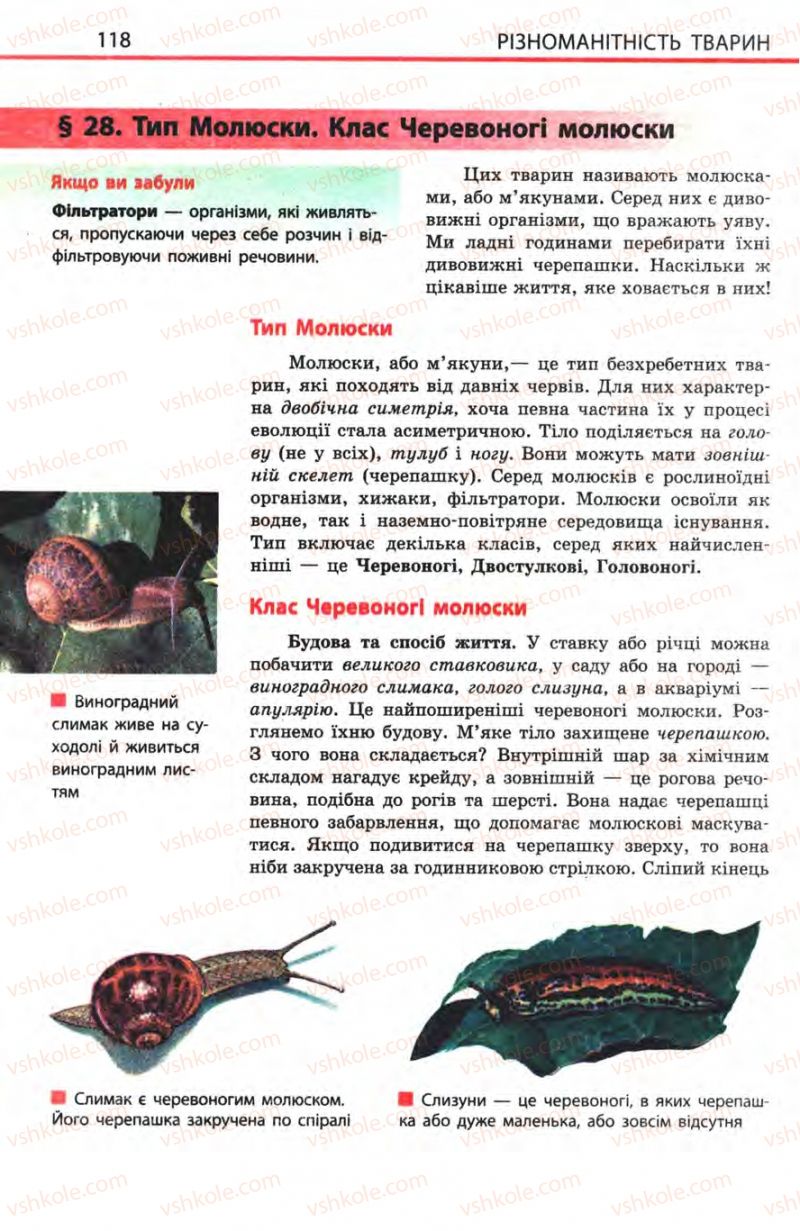 Страница 118 | Підручник Біологія 8 клас Н.В. Запорожець, С.В. Влащенко 2008