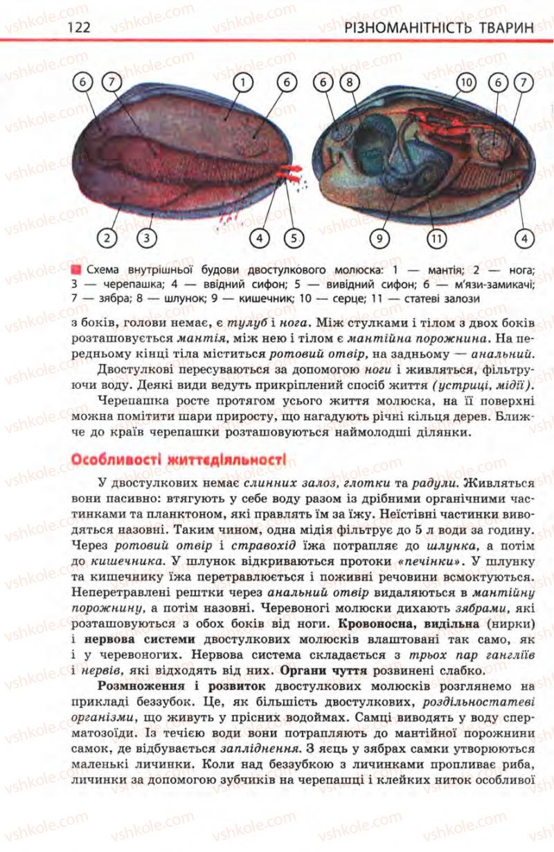 Страница 122 | Підручник Біологія 8 клас Н.В. Запорожець, С.В. Влащенко 2008