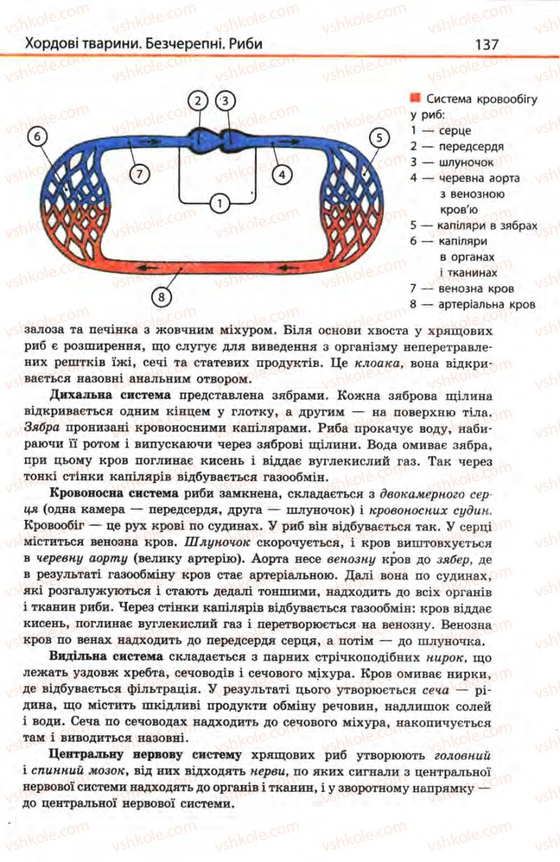 Страница 137 | Підручник Біологія 8 клас Н.В. Запорожець, С.В. Влащенко 2008
