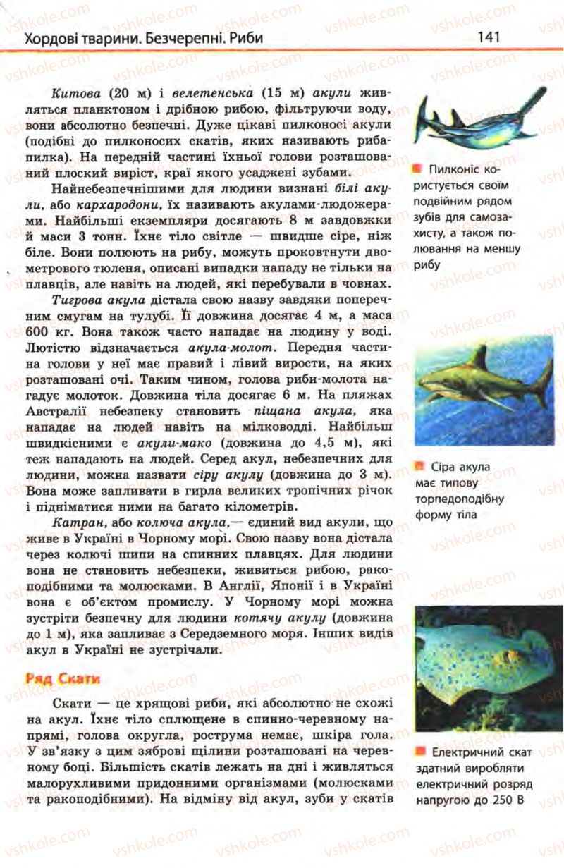 Страница 141 | Підручник Біологія 8 клас Н.В. Запорожець, С.В. Влащенко 2008