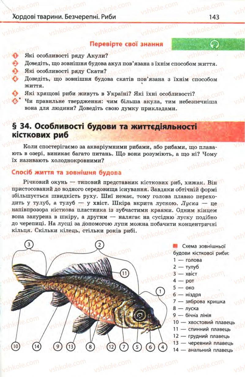 Страница 143 | Підручник Біологія 8 клас Н.В. Запорожець, С.В. Влащенко 2008