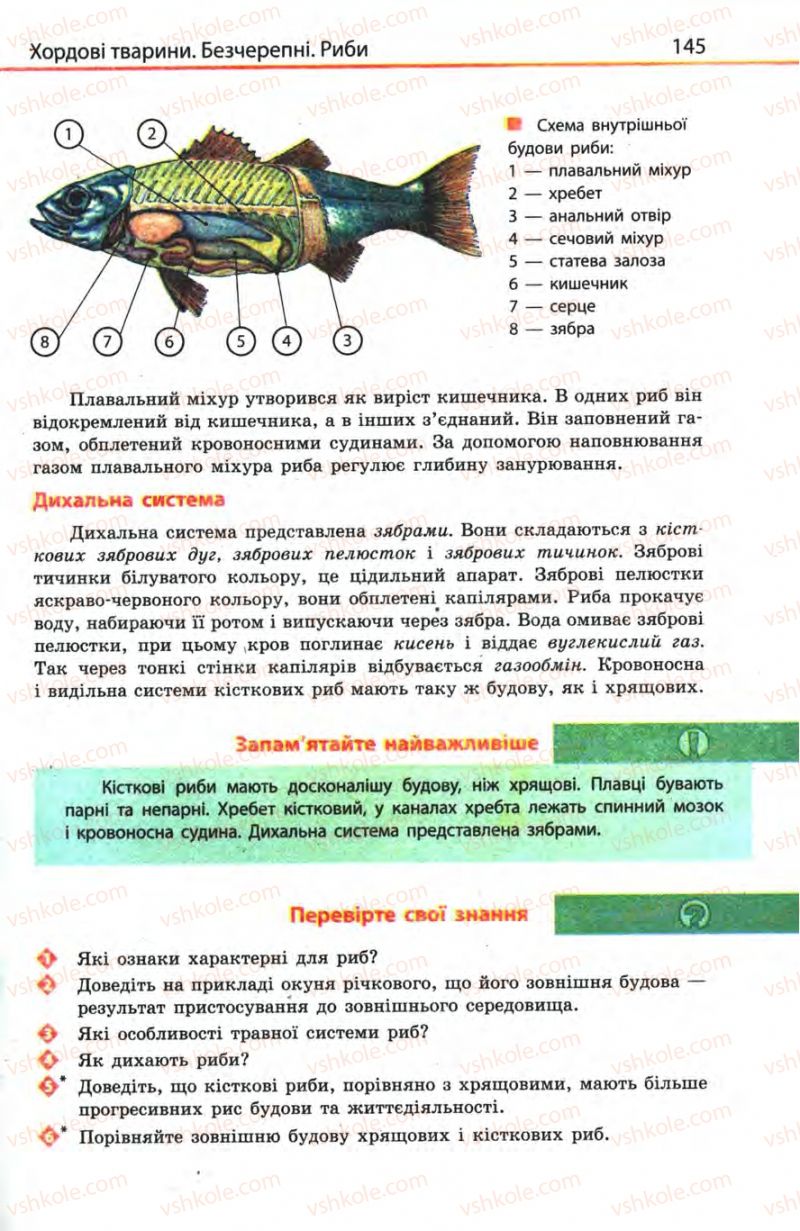 Страница 145 | Підручник Біологія 8 клас Н.В. Запорожець, С.В. Влащенко 2008