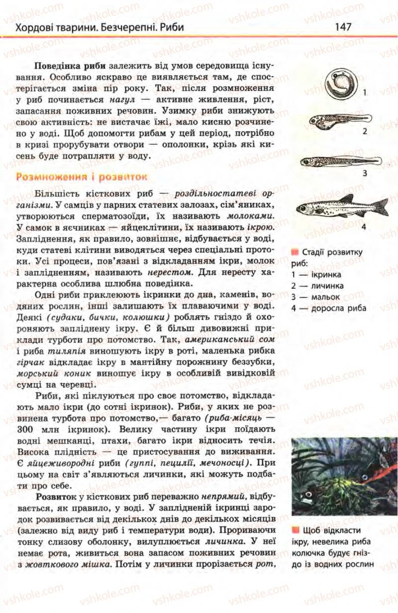 Страница 147 | Підручник Біологія 8 клас Н.В. Запорожець, С.В. Влащенко 2008
