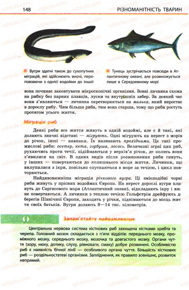Страница 148 | Підручник Біологія 8 клас Н.В. Запорожець, С.В. Влащенко 2008