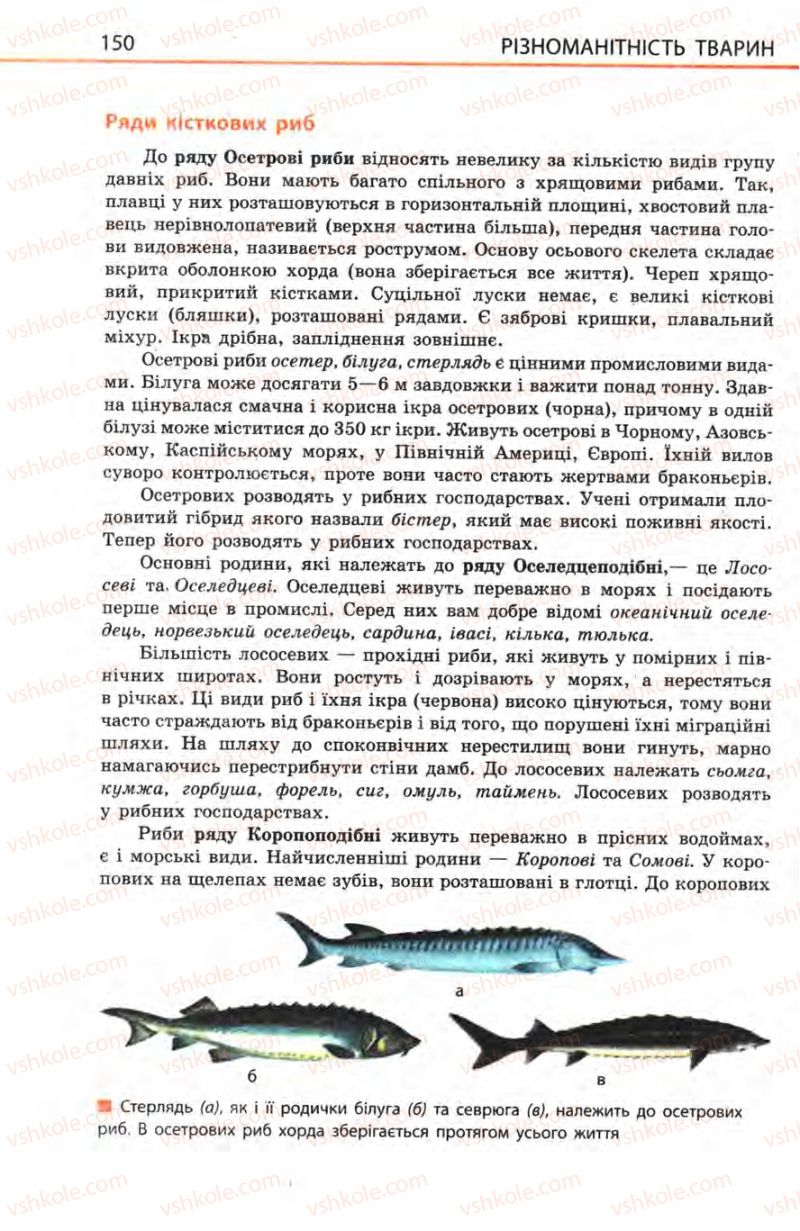 Страница 150 | Підручник Біологія 8 клас Н.В. Запорожець, С.В. Влащенко 2008