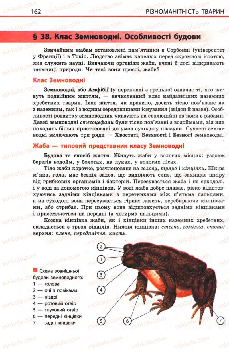 Страница 162 | Підручник Біологія 8 клас Н.В. Запорожець, С.В. Влащенко 2008