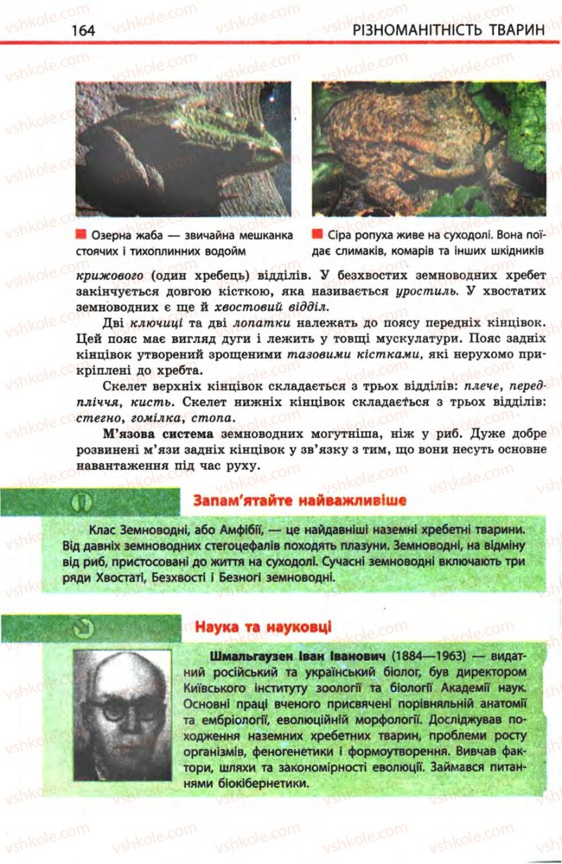 Страница 164 | Підручник Біологія 8 клас Н.В. Запорожець, С.В. Влащенко 2008