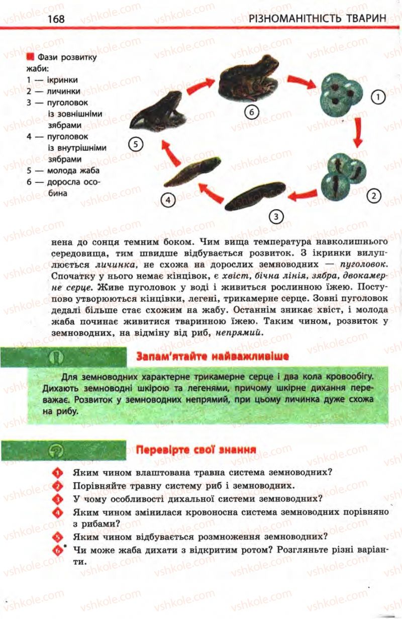 Страница 168 | Підручник Біологія 8 клас Н.В. Запорожець, С.В. Влащенко 2008