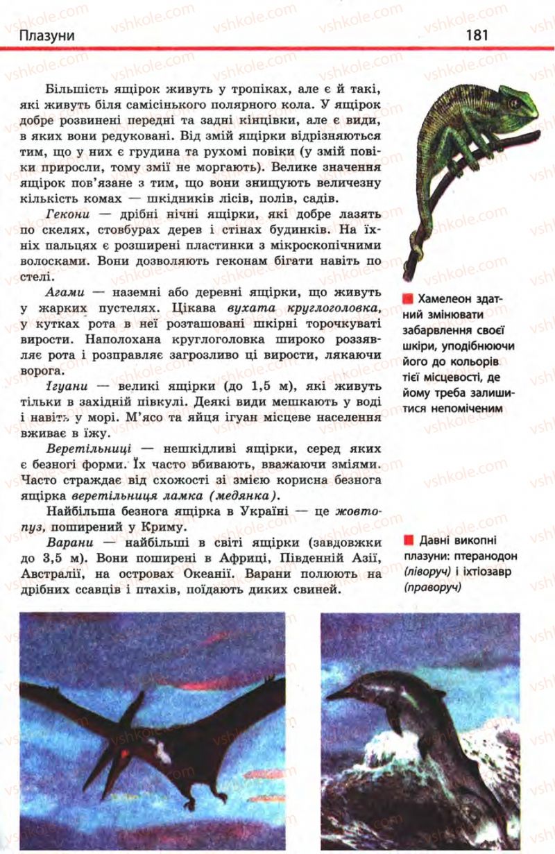 Страница 181 | Підручник Біологія 8 клас Н.В. Запорожець, С.В. Влащенко 2008
