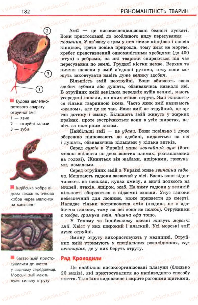Страница 182 | Підручник Біологія 8 клас Н.В. Запорожець, С.В. Влащенко 2008