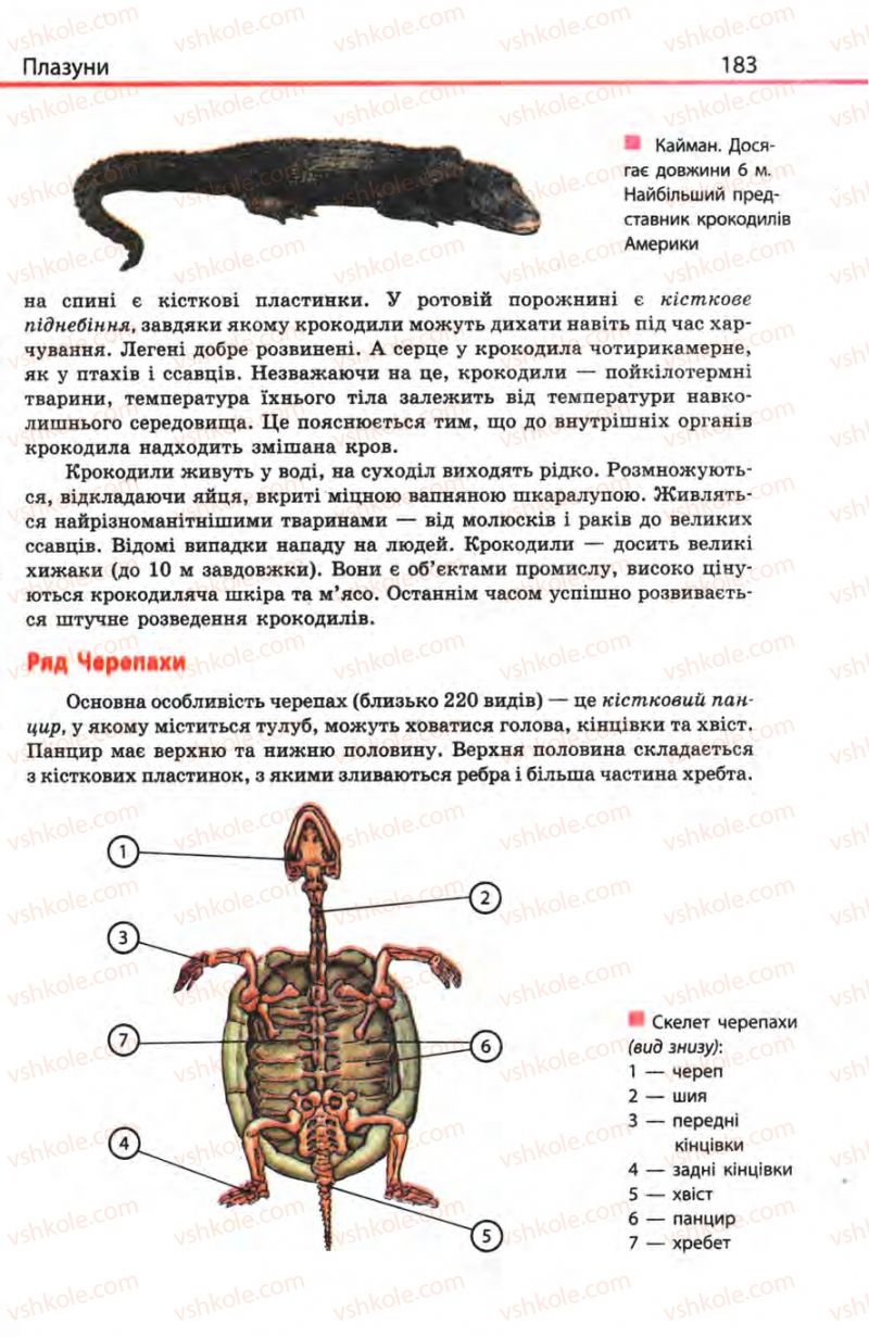 Страница 183 | Підручник Біологія 8 клас Н.В. Запорожець, С.В. Влащенко 2008