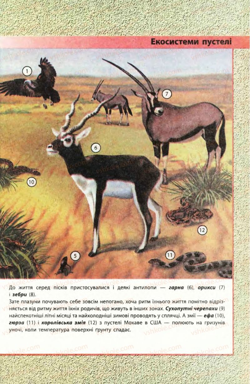 Страница 187 | Підручник Біологія 8 клас Н.В. Запорожець, С.В. Влащенко 2008