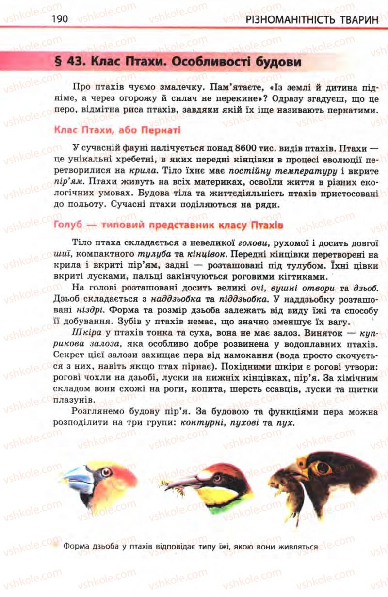 Страница 190 | Підручник Біологія 8 клас Н.В. Запорожець, С.В. Влащенко 2008