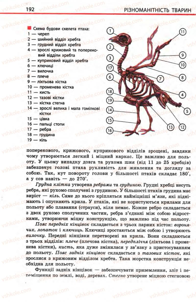 Страница 192 | Підручник Біологія 8 клас Н.В. Запорожець, С.В. Влащенко 2008